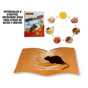 COLA PEGA RATO NAVY 1926